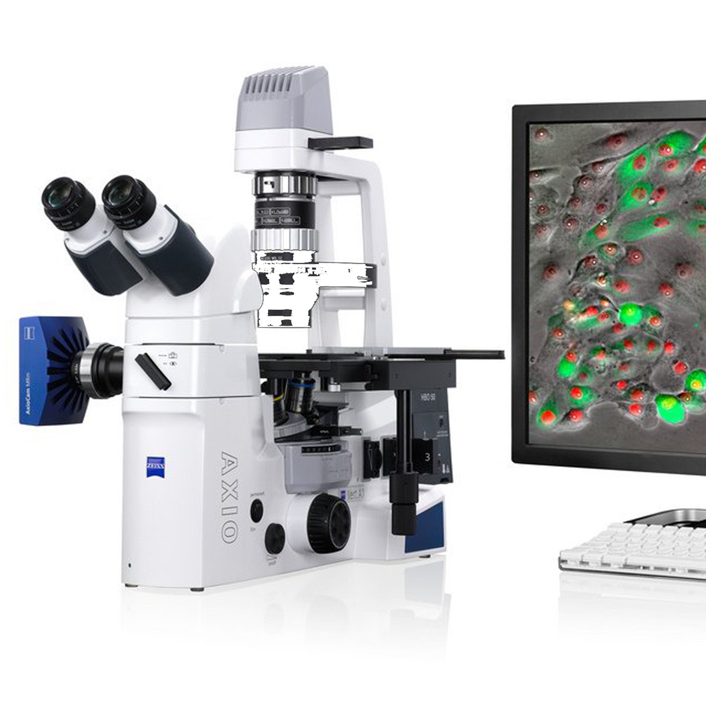 <small>Reparo de Microscópio Zeiss:</small> Precisão e Confiabilidade no Axio Vert.A1