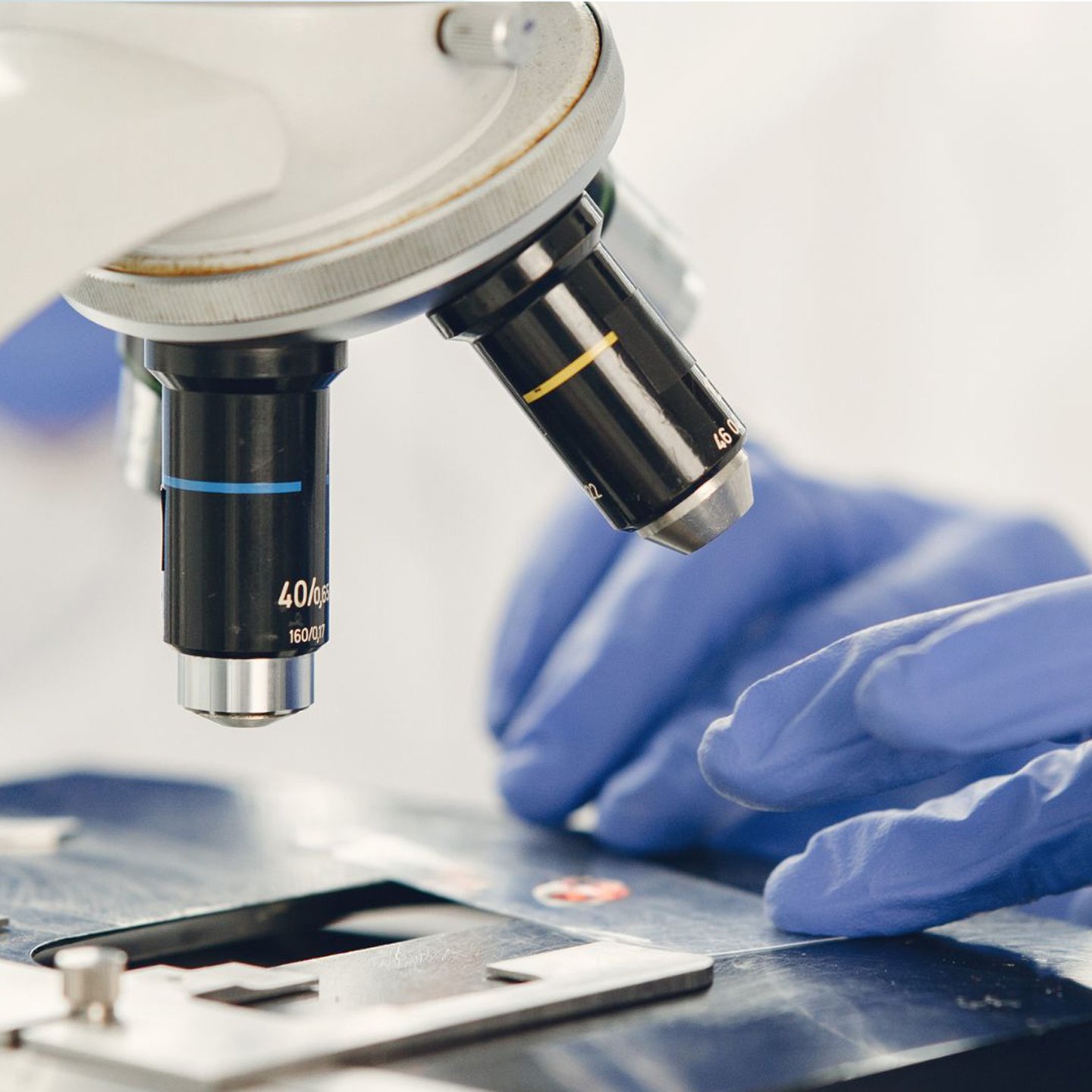 <small>Ampliação vs. Resolução: </small> O Que Realmente Importa na Microscopia