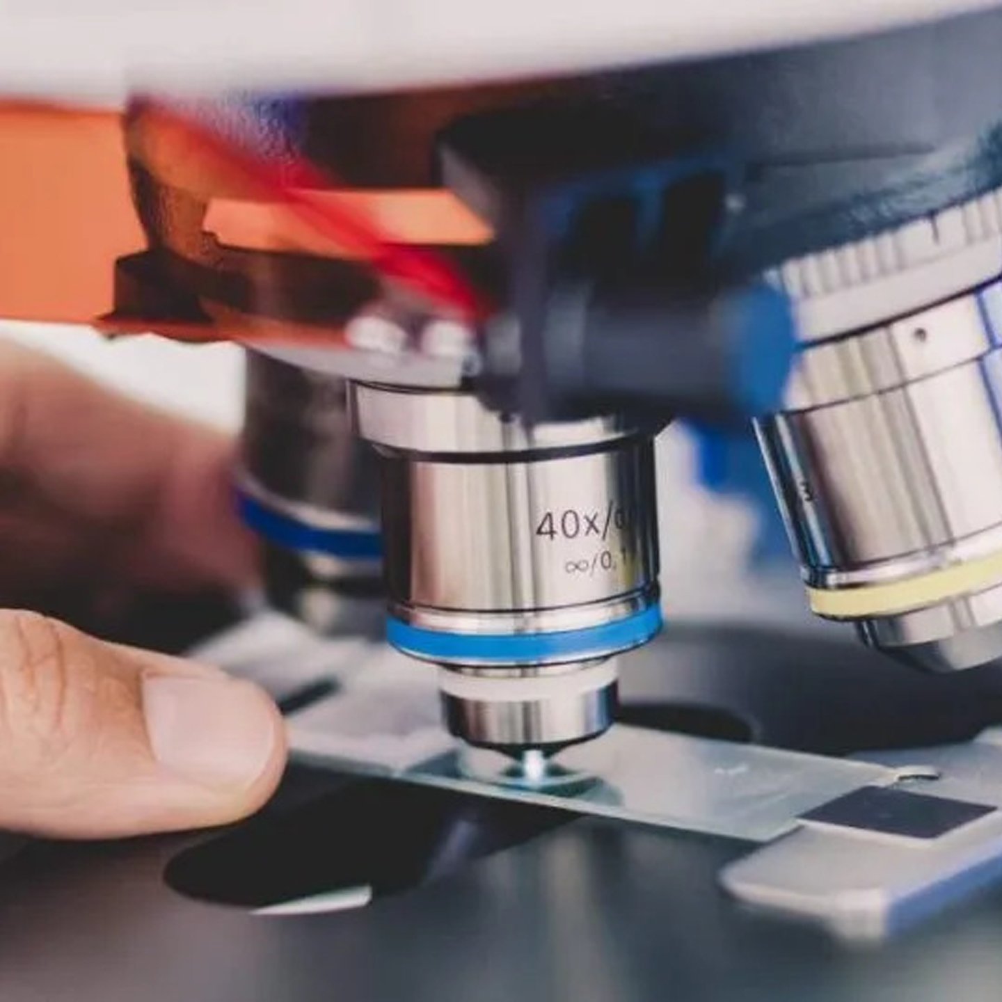 <small>Filtros e Iluminação na Microscopia: </small>Como Escolher e Otimizar Imagens