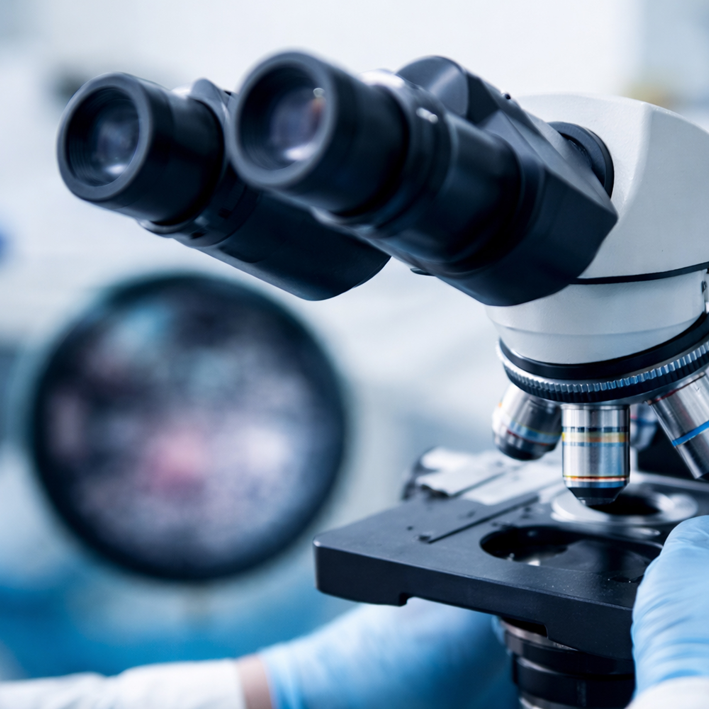 <small>Microscópio Desfocado:</small> Causas, Diagnóstico e Como Resolver agora