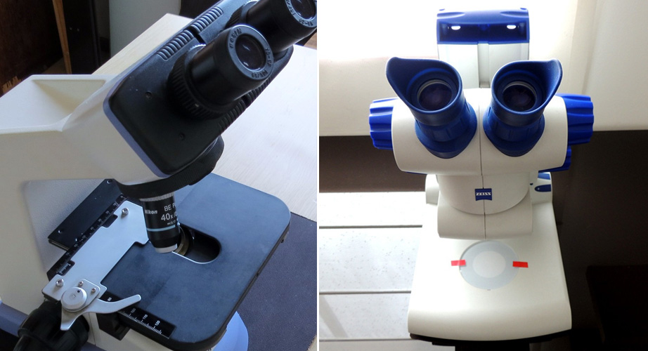 Quais as diferenças entre o microscópio biológico e estereomicroscópio?