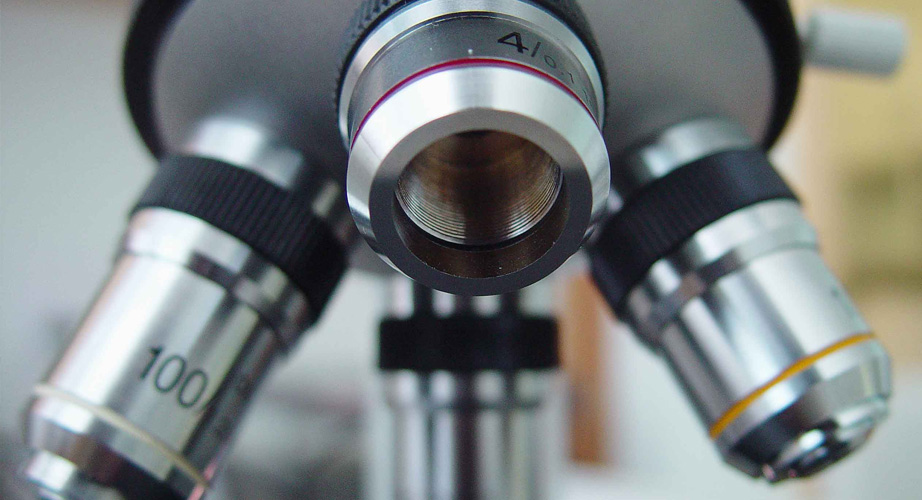 Como conectar uma câmera ao microscópio?