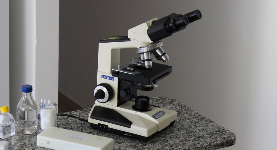 Conhecendo o microscópio: veja o que compõe esse instrumento
