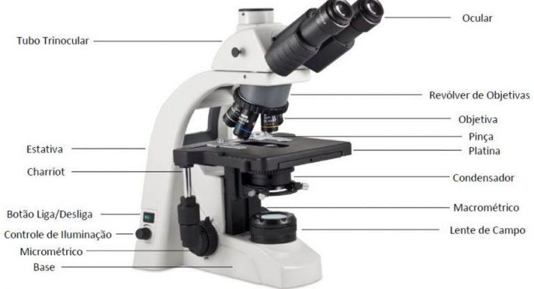 Componentes do Microscópio