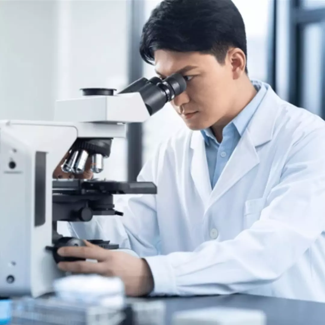 Como Focalizar o Microscópio: 10 Passos para Imagens Claras e Precisas