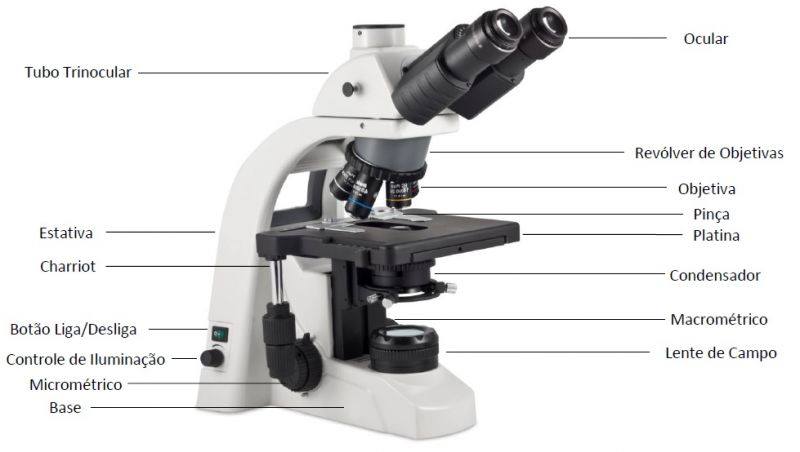 componentes do microscópio óptico e suas principais funções