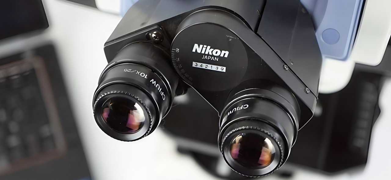 Microscópio Nikon Eclipse E800