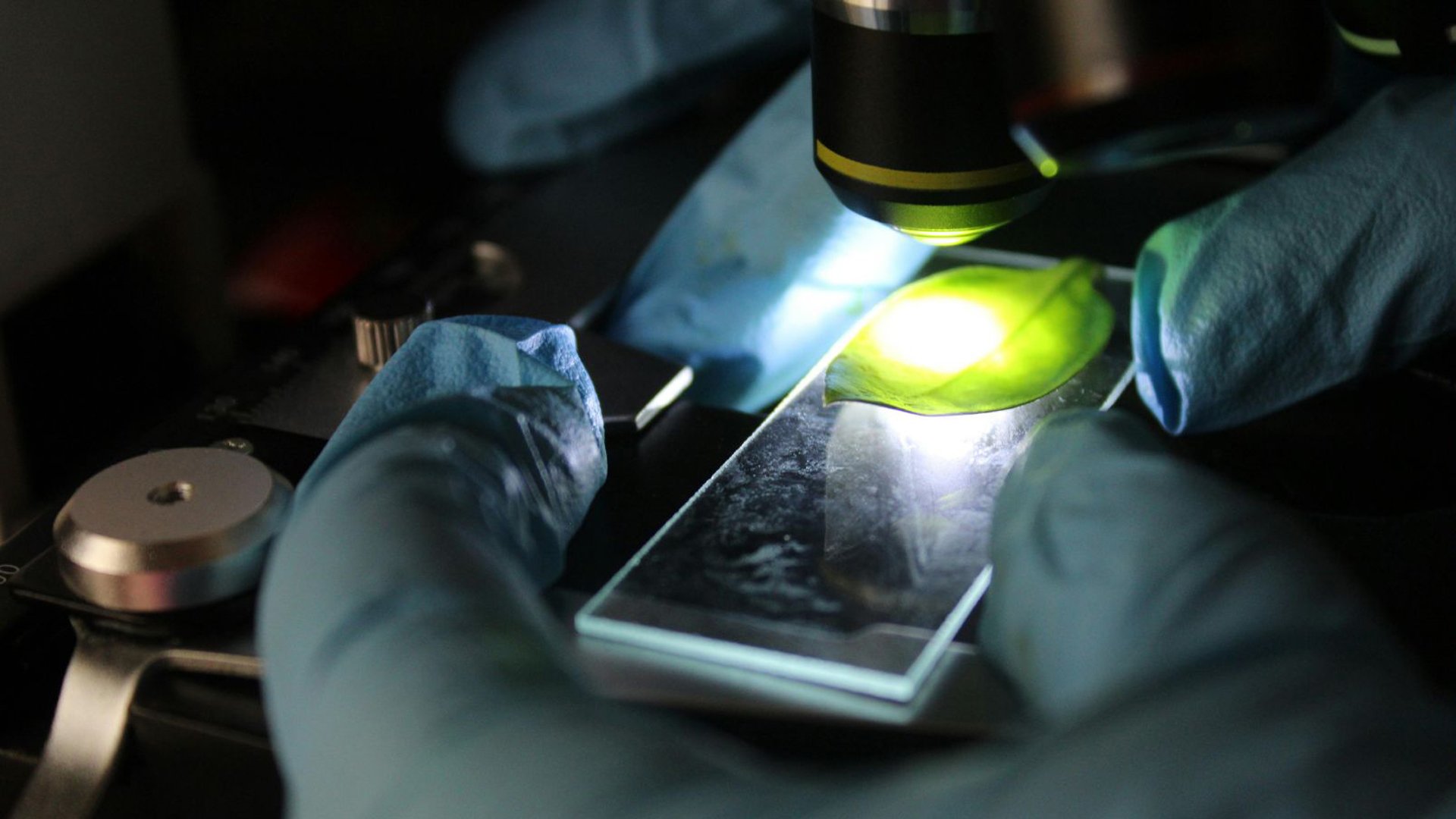 manutenção preventiva em microscópios