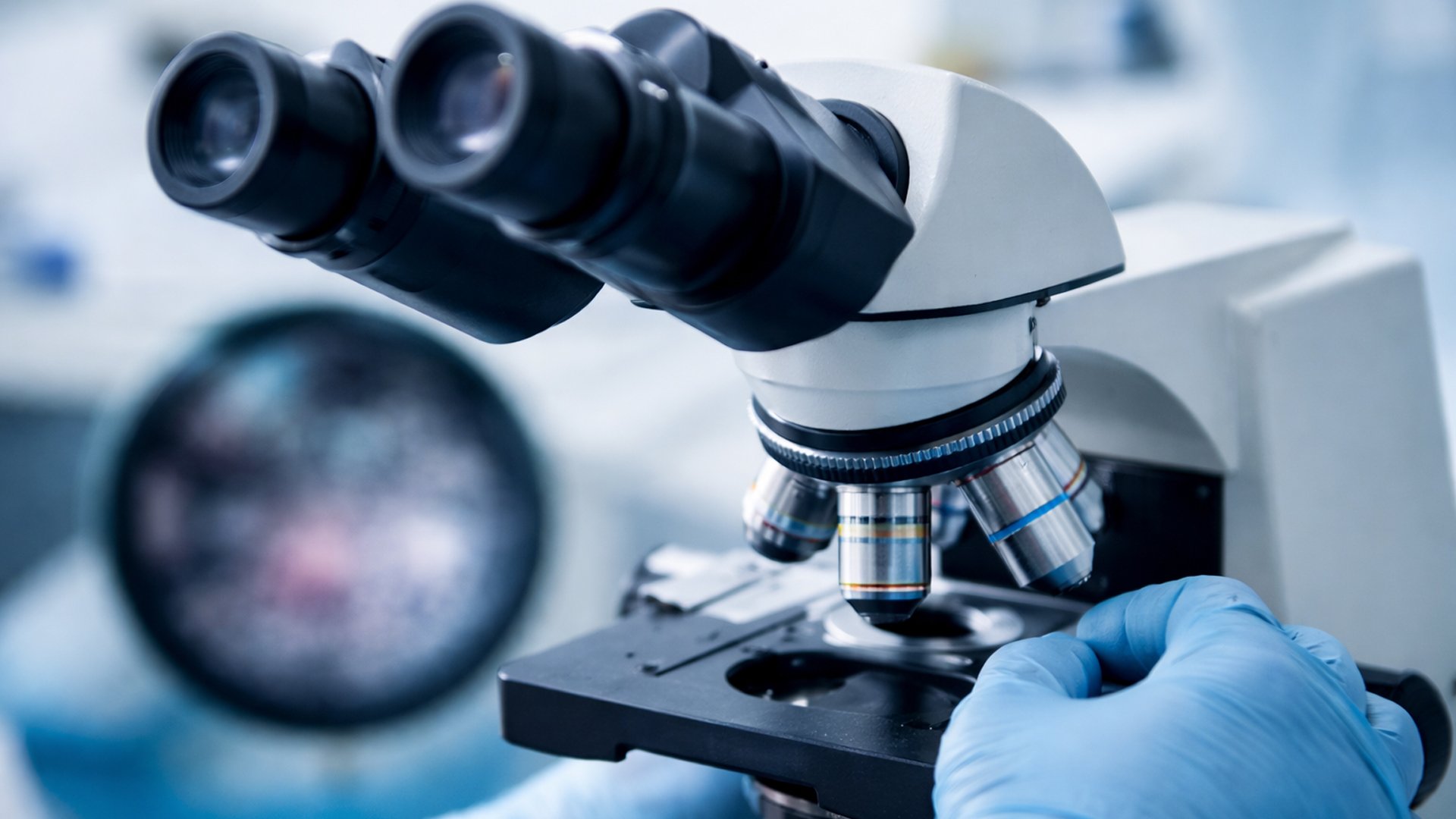 microscópio desfocado análise